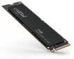 Crucial T705 (CT4000T705SSD3) цена и информация | Sisemised kõvakettad (HDD, SSD, Hybrid) | kaup24.ee