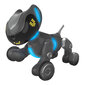 Interaktiivne koer Pyxel Learning Resources Pyxel Coding Pet EI-1130 hind ja info | Poiste mänguasjad | kaup24.ee