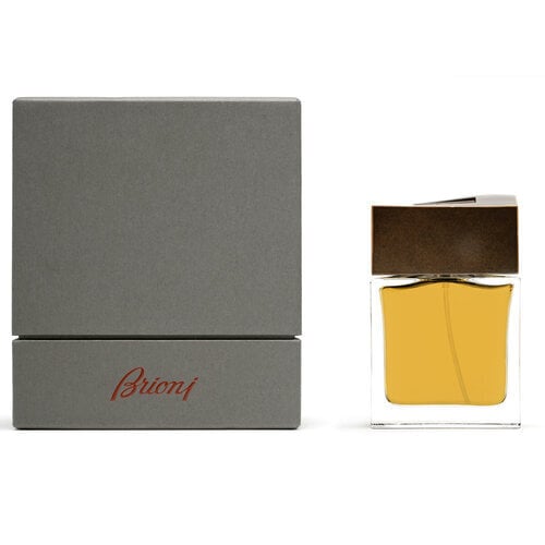 Lõhnavesi Brioni Brioni EDP 100 ml hind ja info | Meeste parfüümid | kaup24.ee