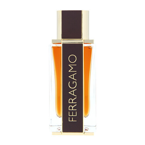 Lõhnavesi Salvatore Ferragamo Ferragamo Spicy Leather EDP meestele, 100ml hind ja info | Meeste parfüümid | kaup24.ee