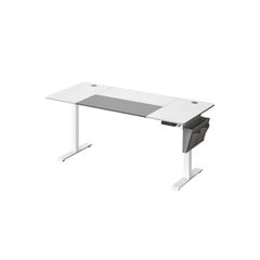 Компьютерный стол Songmics, белый/серый цена и информация | Компьютерные, письменные столы | kaup24.ee