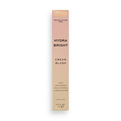 Põsepuna Hydra Bright (Cream Blush) 12 ml цена и информация | Пудры, базы под макияж | kaup24.ee