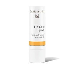 Huulepalsam Dr. Hauschka Lip Care Stick, 4.9 g hind ja info | Huulepulgad, -läiked, -palsamid, vaseliin | kaup24.ee