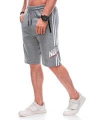 спортивные штаны w489 - серые 125034-78 цена и информация | Мужские шорты | kaup24.ee