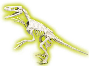 Dinosauruste fossiil Velociraptor Clementoni hind ja info | Poiste mänguasjad | kaup24.ee