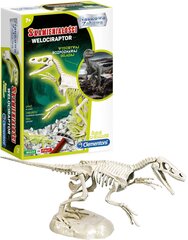 Dinosauruste fossiil Velociraptor Clementoni цена и информация | Игрушки для мальчиков | kaup24.ee