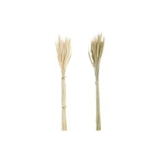 корсажи DKD Home Decor Пшеница шпилька (8 x 3 x 59 cm) (2 штук) цена и информация | Искусственные цветы | kaup24.ee