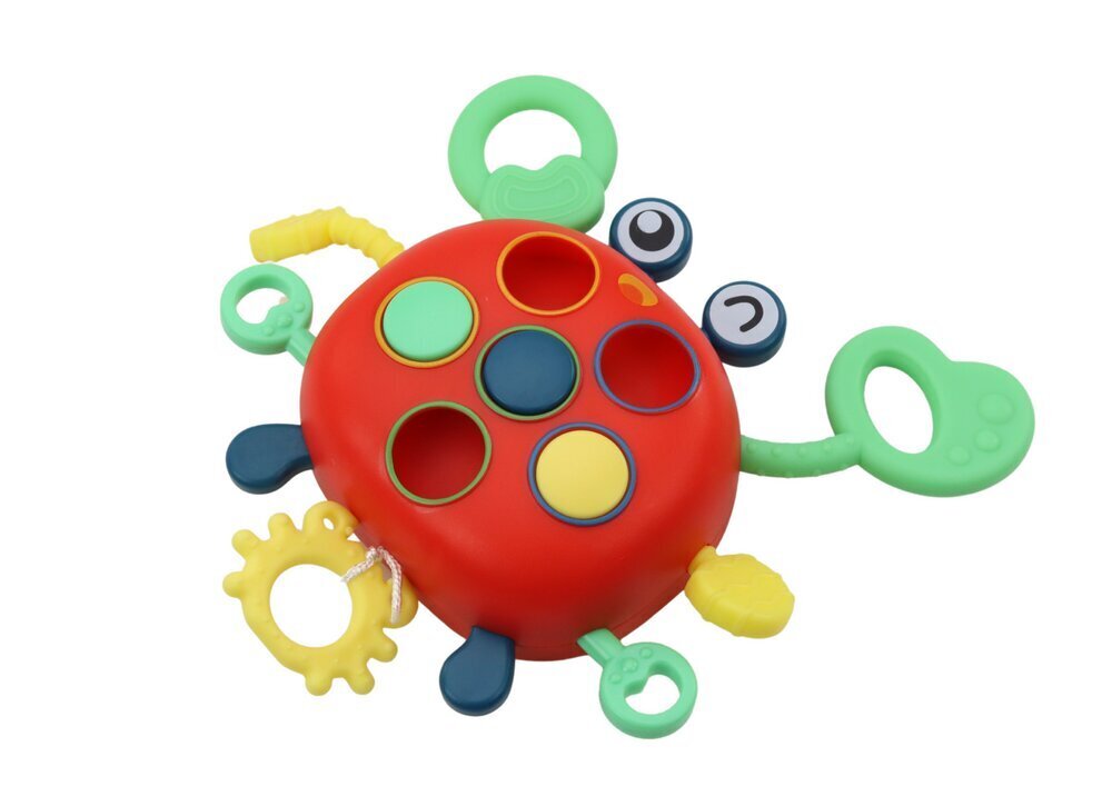 Interaktiivne sensoorne krabi Lean Toys цена и информация | Imikute mänguasjad | kaup24.ee