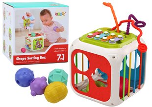 Hariv kuubikute sorteerija metallofoniga Lean Toys 7in1 hind ja info | Imikute mänguasjad | kaup24.ee