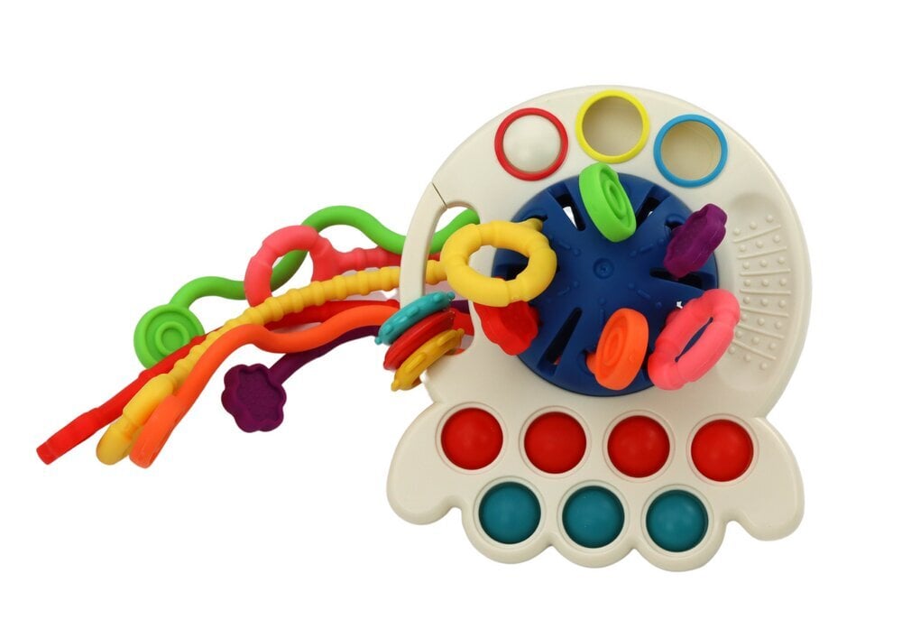 Sensoorne värviline mängukaheksajalg hind ja info | Imikute mänguasjad | kaup24.ee