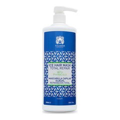 Капиллярная маска Valquer Total Repair Ice-Glacial 300 ml (300 ml) цена и информация | Маски, масла, сыворотки | kaup24.ee