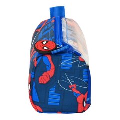 Pinal Spiderman great power hind ja info | Pinalid | kaup24.ee