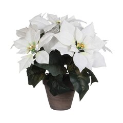 Декоративное растение, 27 х 35 см цена и информация | Искусственные цветы | kaup24.ee