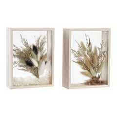 Декоративный цветок DKD Home Decor 16 x 6 x 21 cm Бежевый Коричневый Цветы (2 штук) цена и информация | Искусственные цветы | kaup24.ee