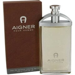 Tualettvesi Aigner Pour Homme EDT meestele, 100 ml цена и информация | Мужские духи | kaup24.ee