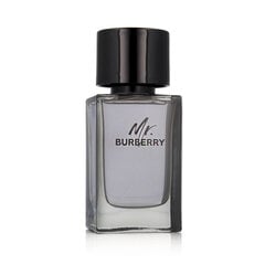 Tualettvesi Burberry Mr. Burberry EDT M 100 ml hind ja info | Burberry Kosmeetika, parfüümid | kaup24.ee