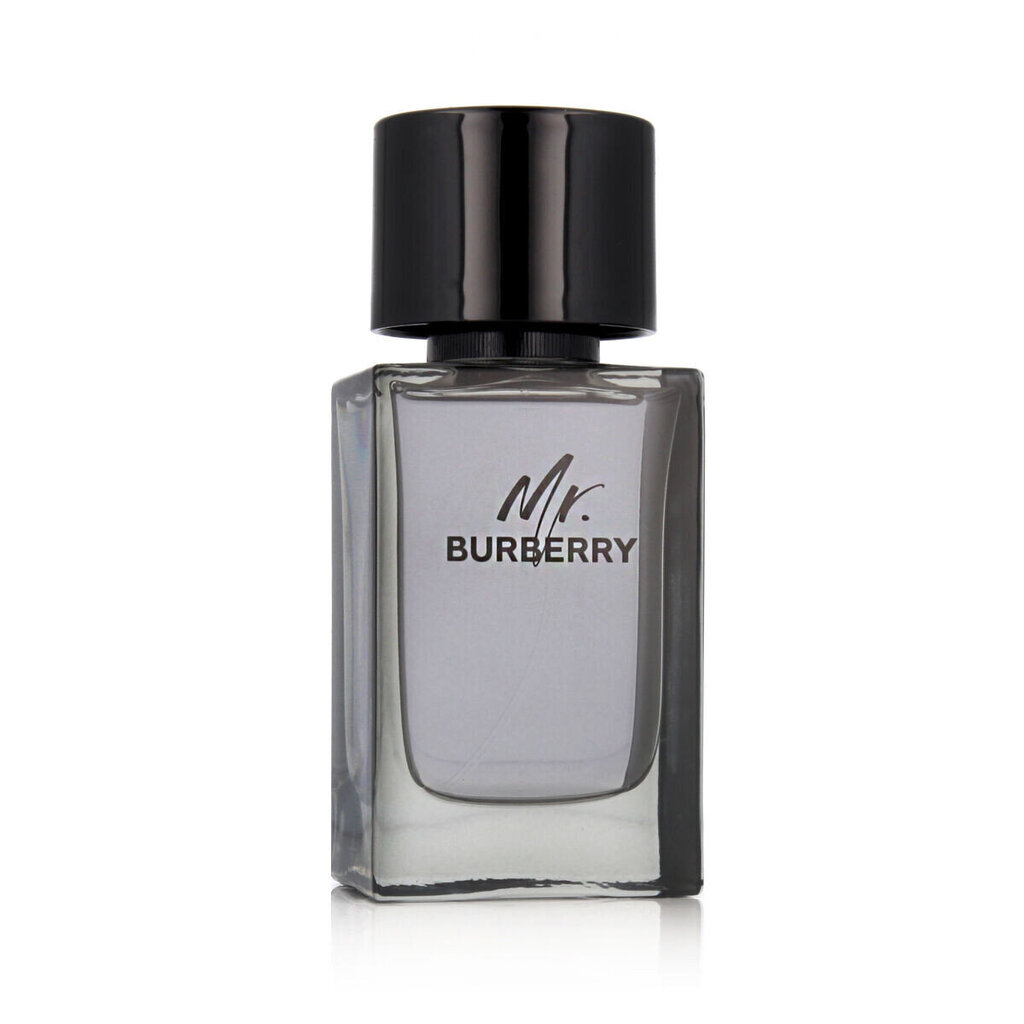 Tualettvesi Burberry Mr. Burberry EDT M 100 ml hind ja info | Meeste parfüümid | kaup24.ee