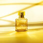 Lõhnavesi Maison Francis Kurkdjian Aqua Vitae Cologne Forte EDP meestele/naistele, 200 ml hind ja info | Naiste parfüümid | kaup24.ee