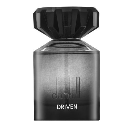 Parfüümvesi Dunhill Driven EDP meestele, 100 ml цена и информация | Meeste parfüümid | kaup24.ee