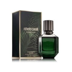 Tualettvesi Roberto Cavalli Paradise Found For Men EDT meestele, 50 ml цена и информация | Мужские духи | kaup24.ee