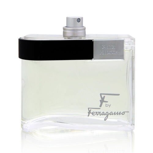 Tualettvesi Salvatore Ferragamo F by Ferragamo pour Homme EDT, 100ml цена и информация | Meeste parfüümid | kaup24.ee