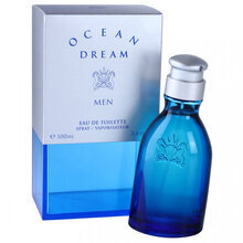 Meeste dušigeel Ocean Dream Man, 200 ml цена и информация | Lõhnastatud kosmeetika meestele | kaup24.ee