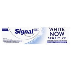Hambapasta White Now Sensitive, 75 ml hind ja info | Suuhügieen | kaup24.ee