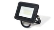 LED halogeenprožektor, 20W, soe valge цена и информация | Taskulambid, prožektorid | kaup24.ee