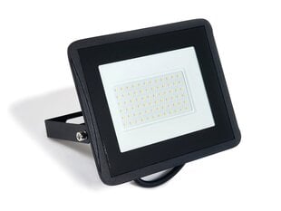 LED halogeenprožektor, 50W, must, külm valge hind ja info | Taskulambid, prožektorid | kaup24.ee