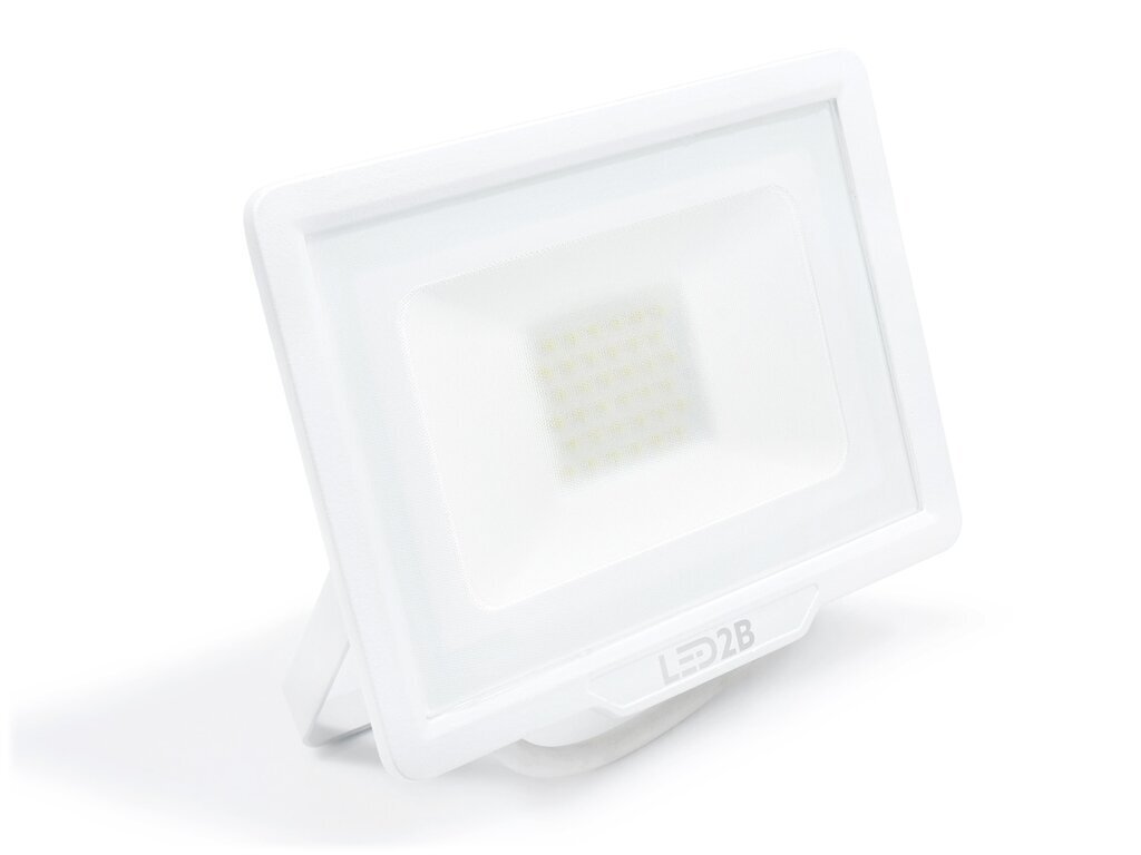 LED halogeenprožektor, 30W, valge, külm valge цена и информация | Taskulambid, prožektorid | kaup24.ee