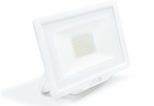 LED halogeenprožektor, 30W, valge, külm valge hind ja info | Taskulambid, prožektorid | kaup24.ee