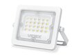 LED halogeenprožektor, 20W, valge, neutraalne valge hind ja info | Taskulambid, prožektorid | kaup24.ee