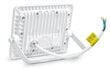 LED halogeenprožektor, 30W, valge, neutraalne valge цена и информация | Taskulambid, prožektorid | kaup24.ee