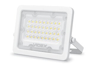 LED halogeenprožektor, 30W, valge, neutraalne valge цена и информация | Фонарики, прожекторы | kaup24.ee