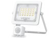 LED kohtvalgusti - liikumisandur halogeen, 10W, valge, neutraalne valge hind ja info | Taskulambid, prožektorid | kaup24.ee