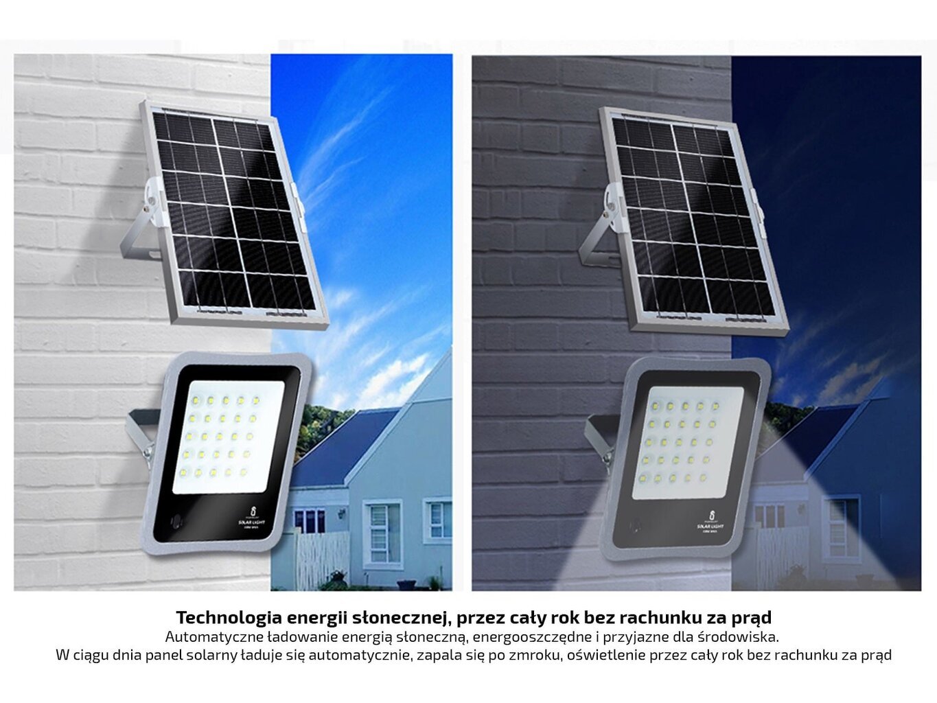 Kohtvalgusti - LED päikesehalogeen 50W - hall - külm valge (6000K) hind ja info | Taskulambid, prožektorid | kaup24.ee
