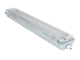 Koloreno hermeetiline valgusti LED T8 цена и информация | Потолочные светильники | kaup24.ee