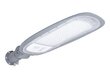 LED tänavavalgusti LED Labs, 1 tk hind ja info | Aia- ja õuevalgustid | kaup24.ee