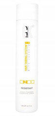 Global Keratin GKHair Resistant Treatment 300ml hind ja info | Juuksepalsamid | kaup24.ee