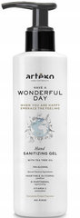 ARTEGO Wonderful Day antibakteriaalne geel 1000ml hind ja info | Maniküüri ja pediküüri tarvikud | kaup24.ee