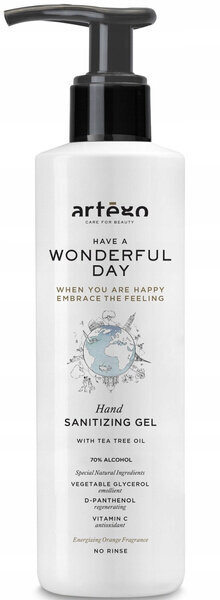 ARTEGO Wonderful Day antibakteriaalne geel 1000ml цена и информация | Maniküüri ja pediküüri tarvikud | kaup24.ee