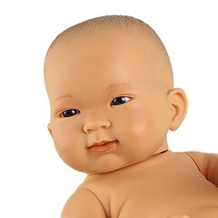 Кукла младенец Llorens Lian, 45 см цена и информация | Игрушки для девочек | kaup24.ee