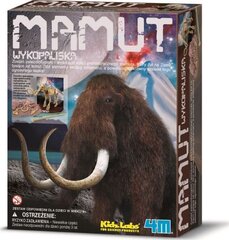 Õppekomplekt Kaevandamine Mammut 4M цена и информация | Развивающие игрушки | kaup24.ee