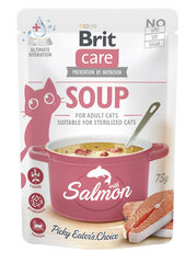 Lõhesupp kassidele Brit Care Soup with Salmon, 75g цена и информация | Кошачьи консервы | kaup24.ee