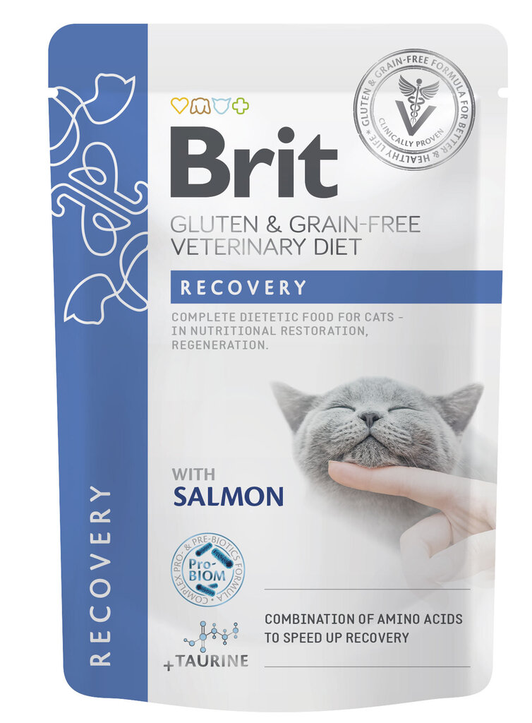 Brit Veterinary Diet Recovery märgtoit kassidele 85g цена и информация | Konservid kassidele | kaup24.ee