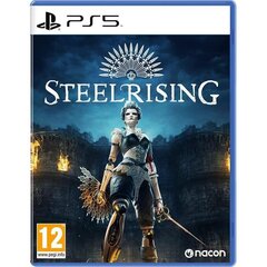 Steelrising, PS5 hind ja info | Arvutimängud, konsoolimängud | kaup24.ee