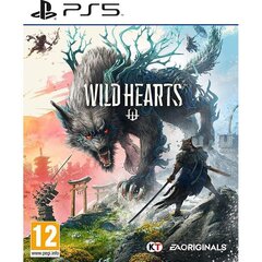 Wild Hearts, PlayStation 5 (Pre-order) цена и информация | Компьютерные игры | kaup24.ee