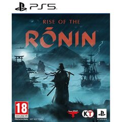 Rise of the Ronin, PlayStation 5 цена и информация | Компьютерные игры | kaup24.ee