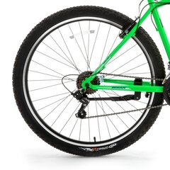 Maastikuratas Bisan LEON VB 29", roheline цена и информация | Велосипеды | kaup24.ee