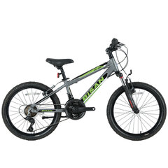 Детский велосипед Bisan 20 KDX2600 (PR10010392) серый/зеленый цена и информация | Велосипеды | kaup24.ee